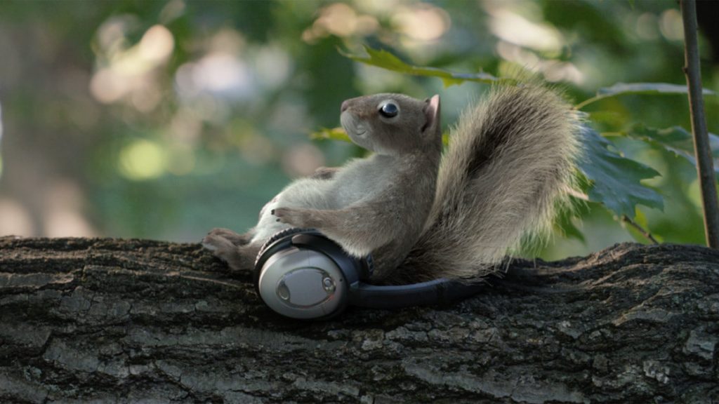 Ridgewood Savings Bank Squirrel